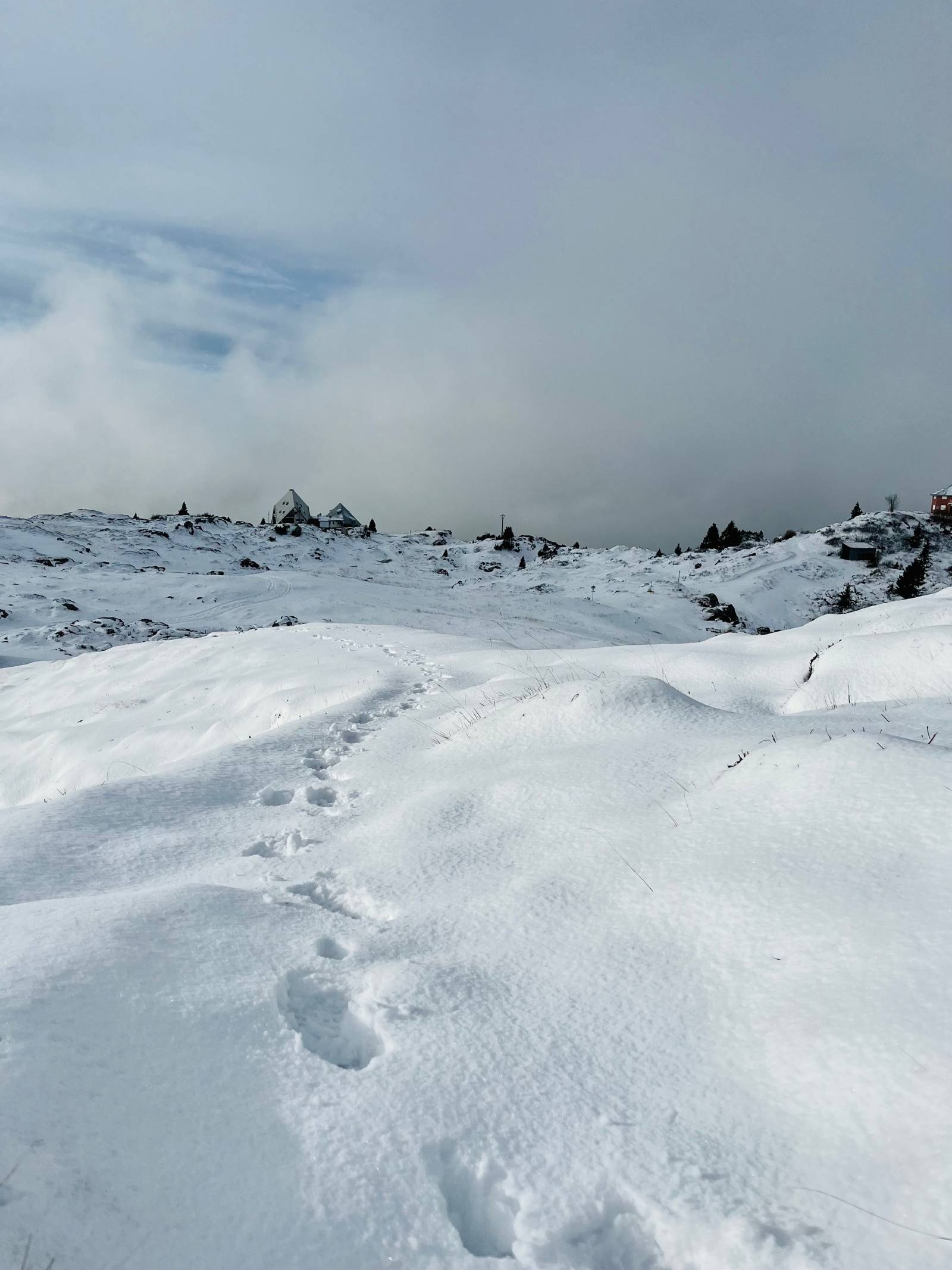 Piani di Artavaggio prima neve 2023-2024